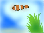 clown fish:X:x
