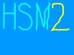 hsm 2