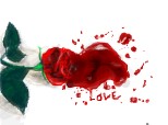 bleading love rose