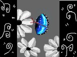 Un fluture intre flori