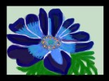 anemona...pentru toti desenatorii carora le plac florile!!!