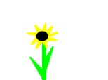 floarea soarelui