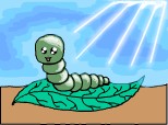 A little worm...