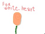 Un trandafir pentru white heart