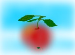 un mar/one apple