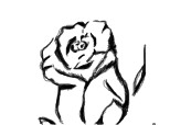 Un trandafir-schitza-pt toti desenatori