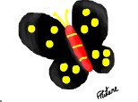 un fluture colorat