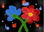 flori flori multe flori intr-o mie de culori.....:)
