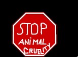 stop torturarea animalelor