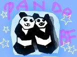 PANDA BEARS best friends