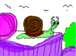 snail Bob
