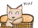nikky