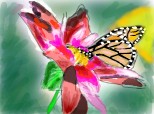 In butterfly world..