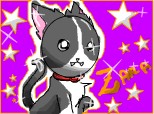 zara,my little kitty in anime style  ^__^ skumpa,nop?