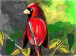 pasarea Cardinal