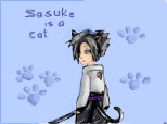 sasuke is a little cat