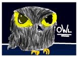 An OWL