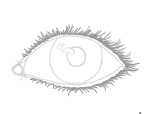Eyelashes on an eye by Brenda H.