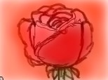 Desen 73656 continuat:un trandafir