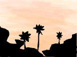 palmieri la apus de soare