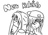 new kaleido-neterminat