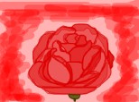 a rose for cimmaron