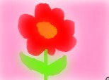 o floare rosie