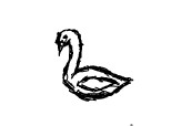 swan ..