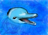 delfin
