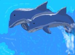 doi delfini!!