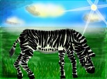 zebra cu virgula cod de bare