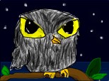 The OWL 2 :)