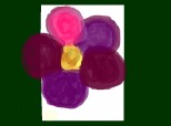floricica colorata-pt.concursul lui oana besileu