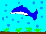 un delfin