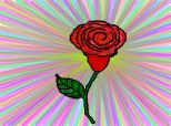 Rose Petal