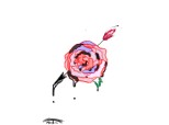 Black blood rose