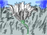 floarea alba