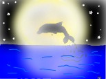 un delfiin in plina noapte