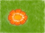 Floricik portocalie (Diana)