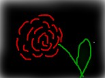 trandafirul
