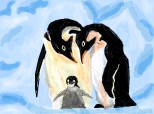"familia pinguin"