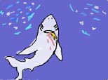 rechinul alb loveste din nou!!