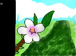 White flower...(Floare alba...)