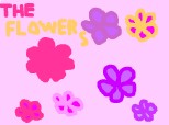 the flowers