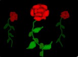 trei trandafiri unul neofilit