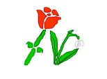 trandafir & ghiocel