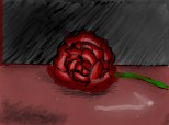un..trandafir