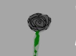 trandafir negru
