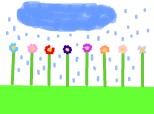 ploua pe un camp de flori