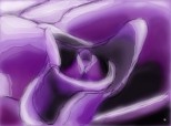 purple rose...